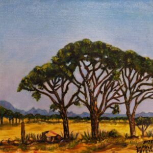 Vlakes land