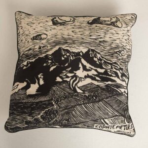 Cushion